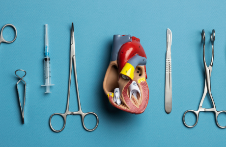 Hernia Repair with Abdominoplasty